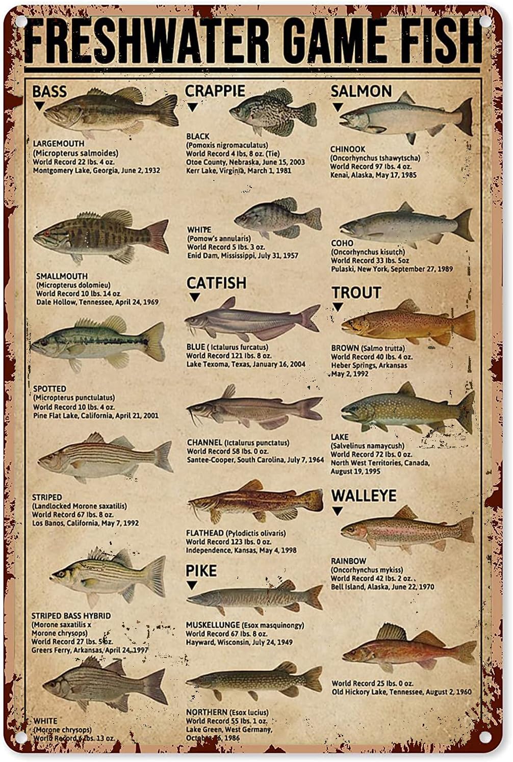 Y1,Fishing Art Posters Metal S - đánh giá và giá Retro Gaming Decor